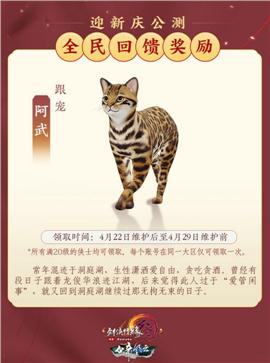 山东菏泽天龙八部私服